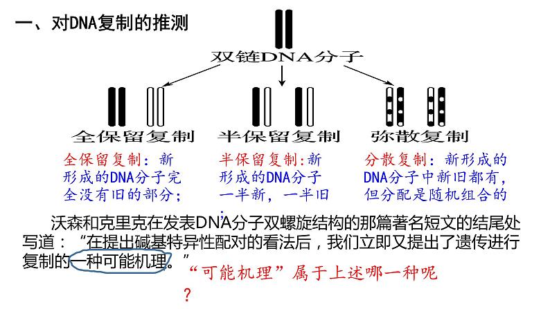 3.3 DNA复制 遗传与变异 课件【新教材】2020-2021学年高一生物人教版(2019)必修二03