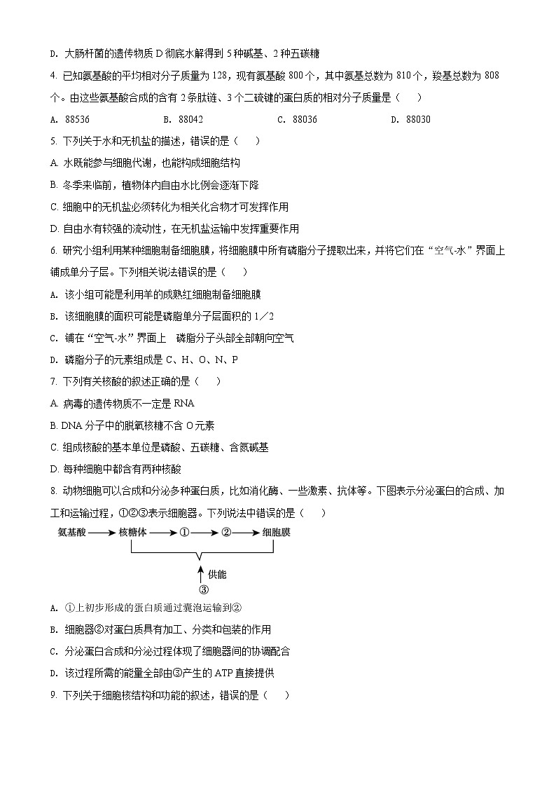 2022亳州利辛縣一中高一下學期4月聯(lián)考生物試題含答案第2頁