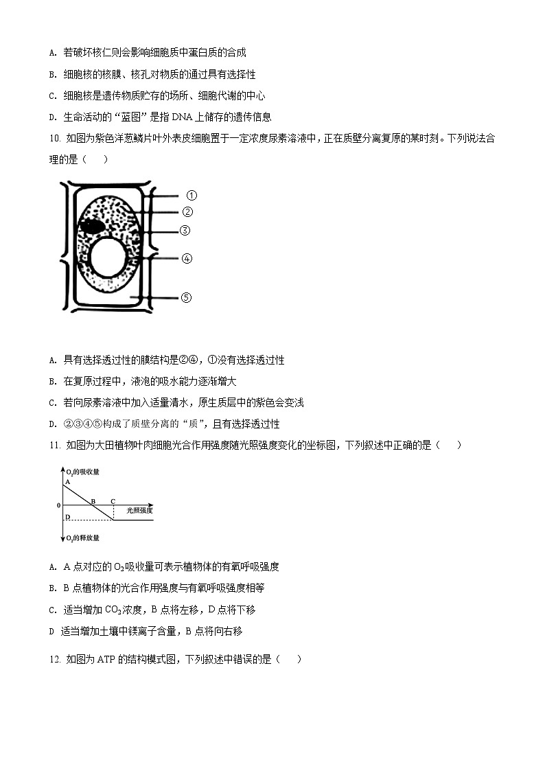 2022亳州利辛縣一中高一下學期4月聯(lián)考生物試題含答案第3頁