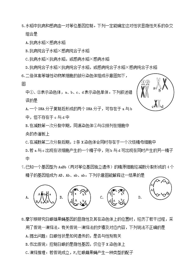 2022临沂罗庄区高一下学期5月期中考试生物试题(民办)含答案02