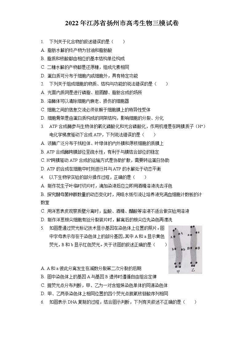 2022年江苏省扬州市高考生物三模试卷(含答案解析)01