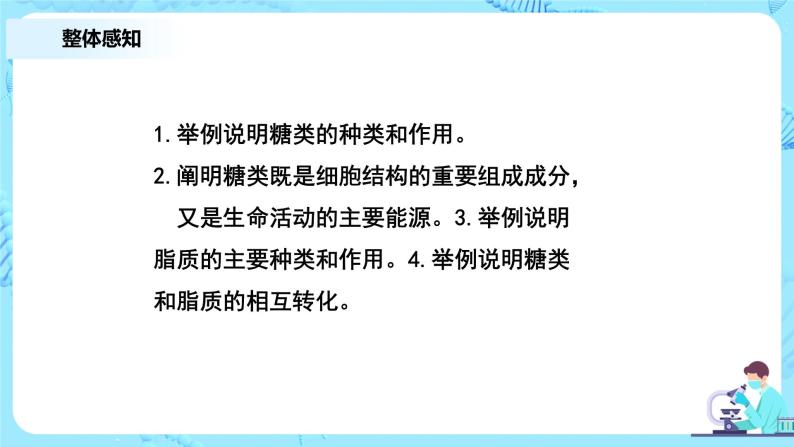 2.3《细胞中的糖类和脂质》课件+教案+练习03