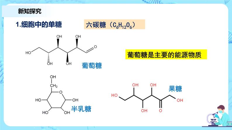 2.3《细胞中的糖类和脂质》课件+教案+练习06