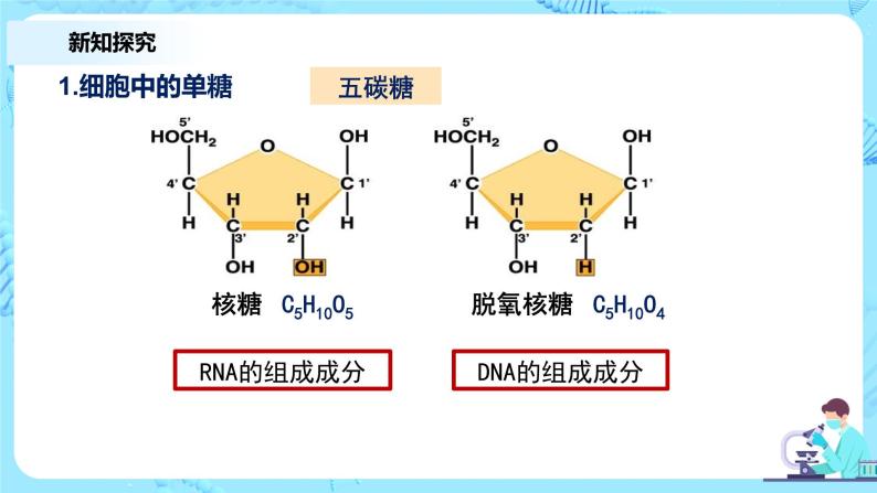 2.3《细胞中的糖类和脂质》课件+教案+练习07