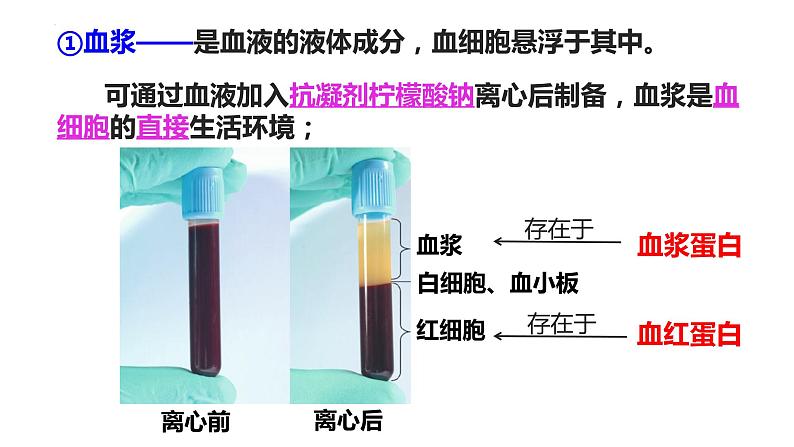 1.1细胞生活的环境课件2021-2022学年高二上学期生物人教版选择性必修1第8页