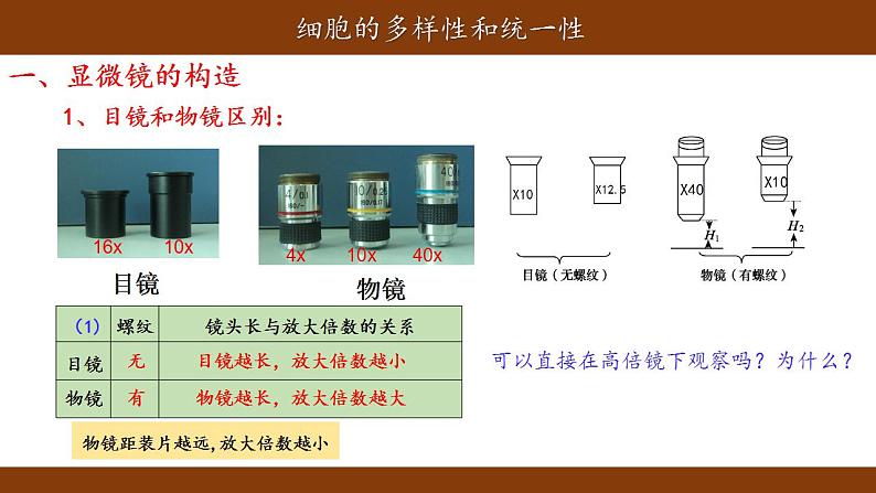 1.2细胞的多样性和统一性课件-2021-2022学年高一上学期生物人教版(2019)必修1第4页