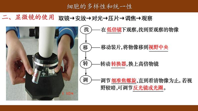 1.2细胞的多样性和统一性课件-2021-2022学年高一上学期生物人教版(2019)必修1第6页
