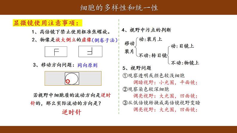 1.2细胞的多样性和统一性课件-2021-2022学年高一上学期生物人教版(2019)必修1第7页