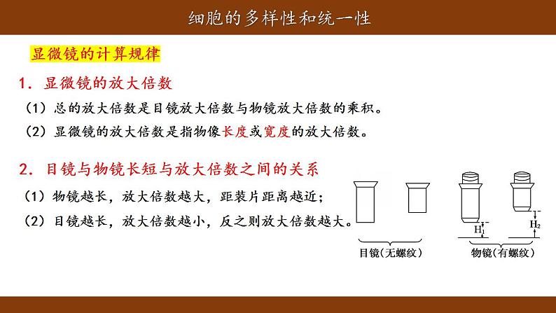 1.2细胞的多样性和统一性课件-2021-2022学年高一上学期生物人教版(2019)必修1第8页
