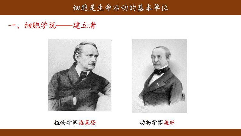1.1细胞是生命活动的基本单位课件-2021-2022学年高一上学期生物人教版(2019)必修1第3页
