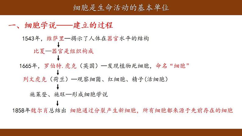 1.1细胞是生命活动的基本单位课件-2021-2022学年高一上学期生物人教版(2019)必修1第5页