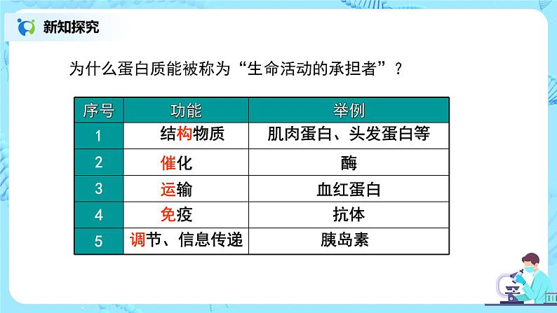2.4.1《蛋白质是生命活动的主要承担者》第4页