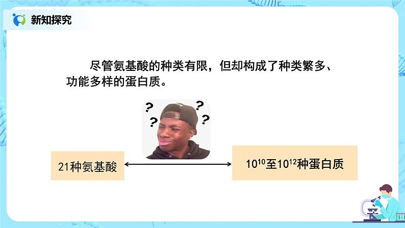 2.4.1《蛋白质是生命活动的主要承担者》第8页