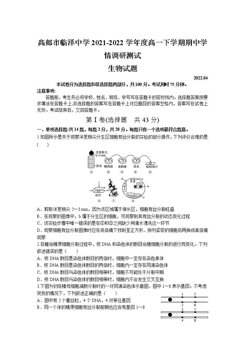 2021-2022学年江苏省高邮市临泽中学高一下学期期中学情调研测试生物试卷含答案01