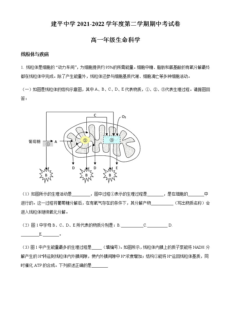 2021-2022学年上海市建平中学高一下学期期中生物试题含解析01