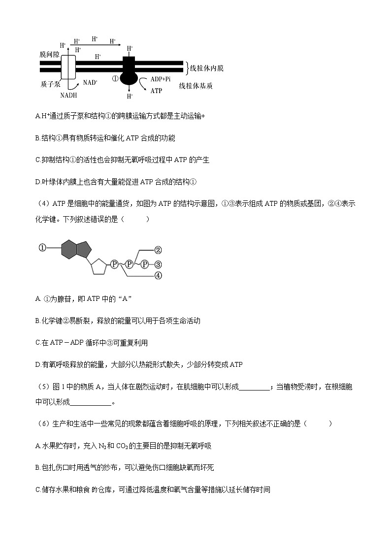 2021-2022学年上海市建平中学高一下学期期中生物试题含解析02