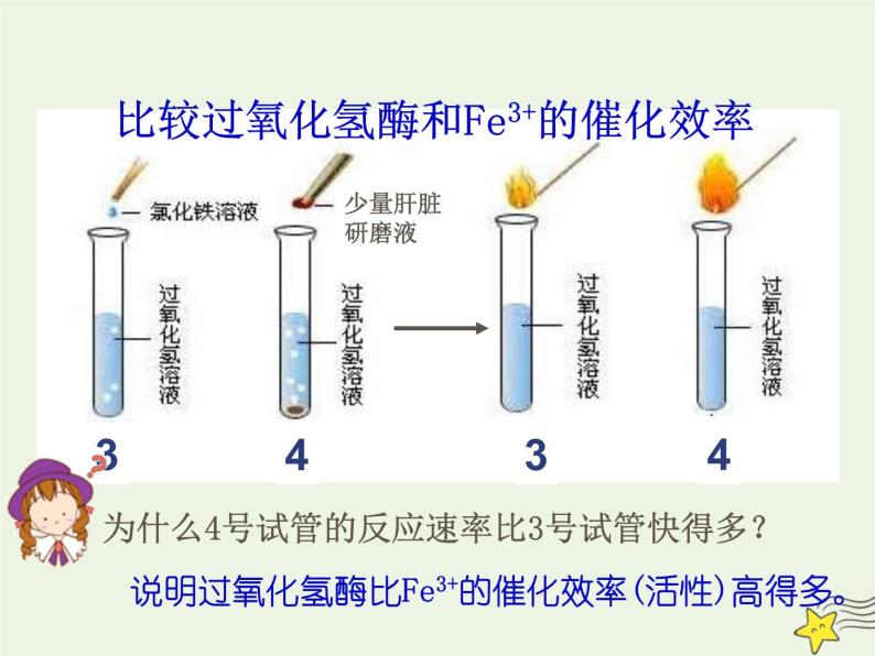 新人教版高中生物必修1第五单元酶的特性2课件05