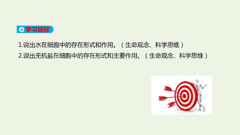新人教版高中生物必修1第2章组成细胞的分子第2节细胞中的无机物课件02
