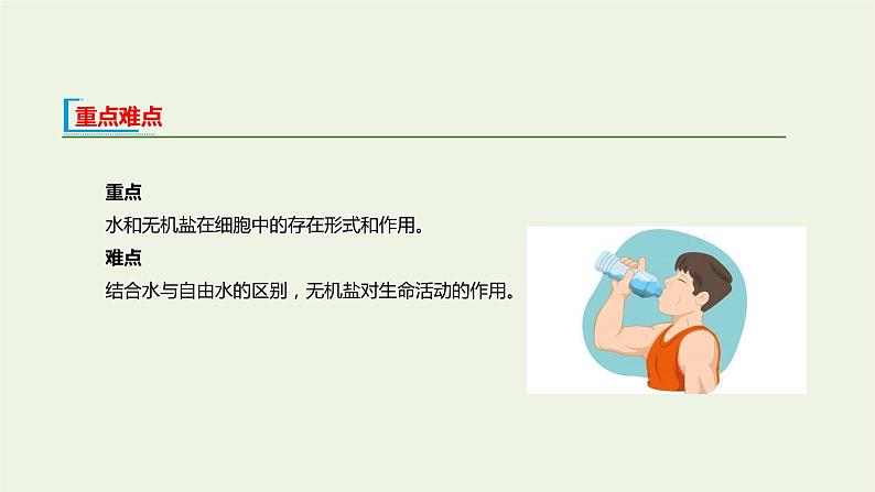 新人教版高中生物必修1第2章组成细胞的分子第2节细胞中的无机物课件03