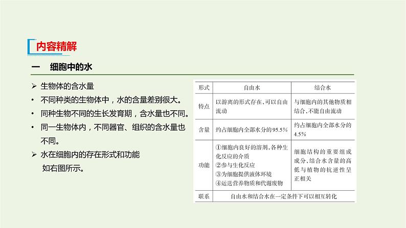 新人教版高中生物必修1第2章组成细胞的分子第2节细胞中的无机物课件06