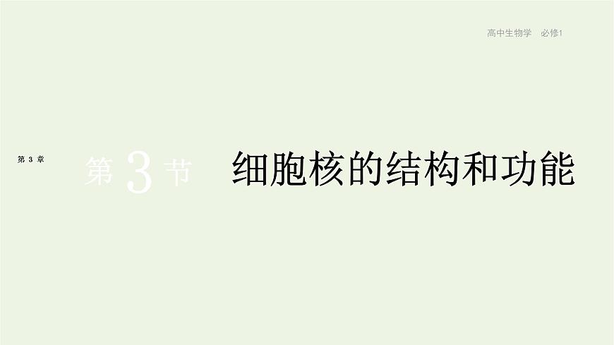 新人教版高中生物必修1第3章細(xì)胞的基本結(jié)構(gòu)第3節(jié)細(xì)胞核的結(jié)構(gòu)和功能課件第1頁