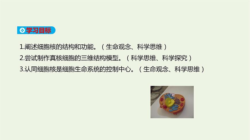 新人教版高中生物必修1第3章細(xì)胞的基本結(jié)構(gòu)第3節(jié)細(xì)胞核的結(jié)構(gòu)和功能課件第2頁