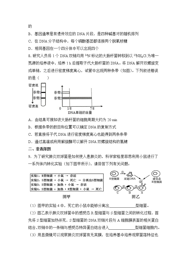 2021-2022学年下学期高一生物暑假巩固练习4 基因的本质03