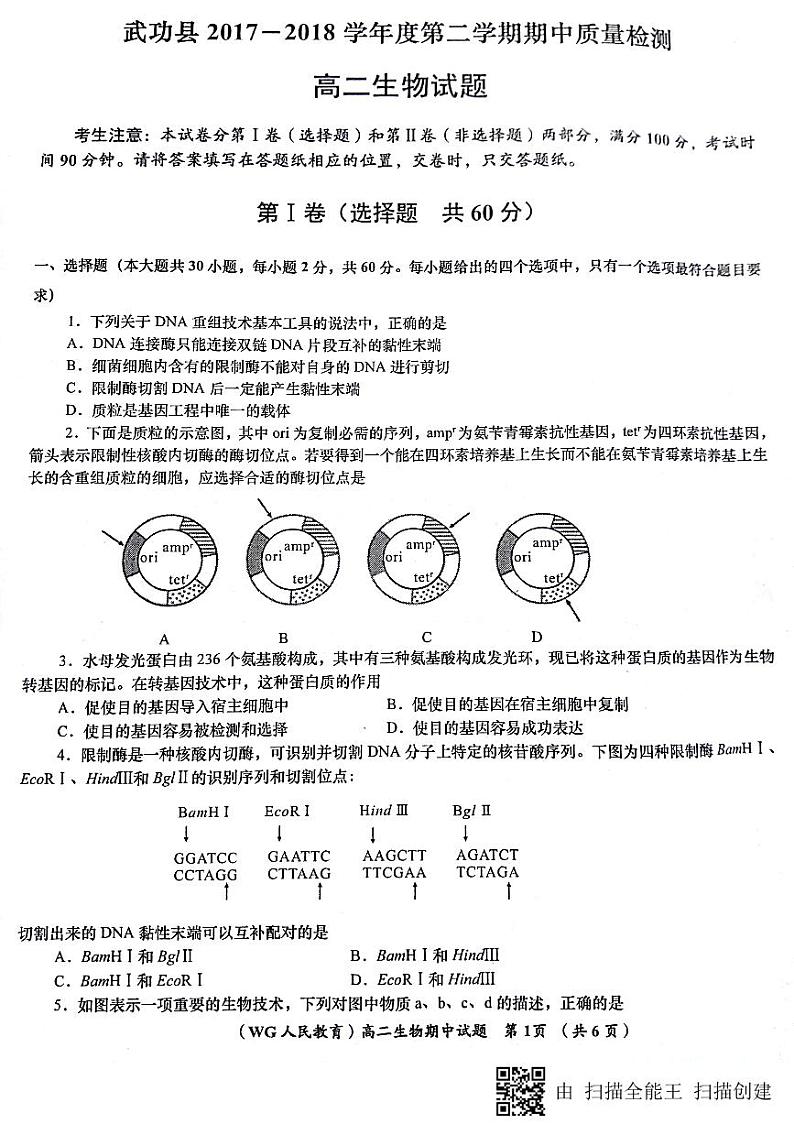 2017-2018学年陕西省咸阳市武功县高二下学期期中质量检测生物试题 PDF版01