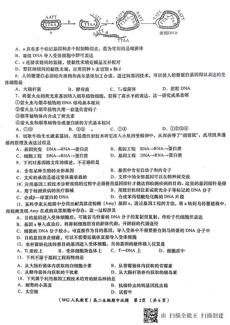 2017-2018学年陕西省咸阳市武功县高二下学期期中质量检测生物试题 PDF版02