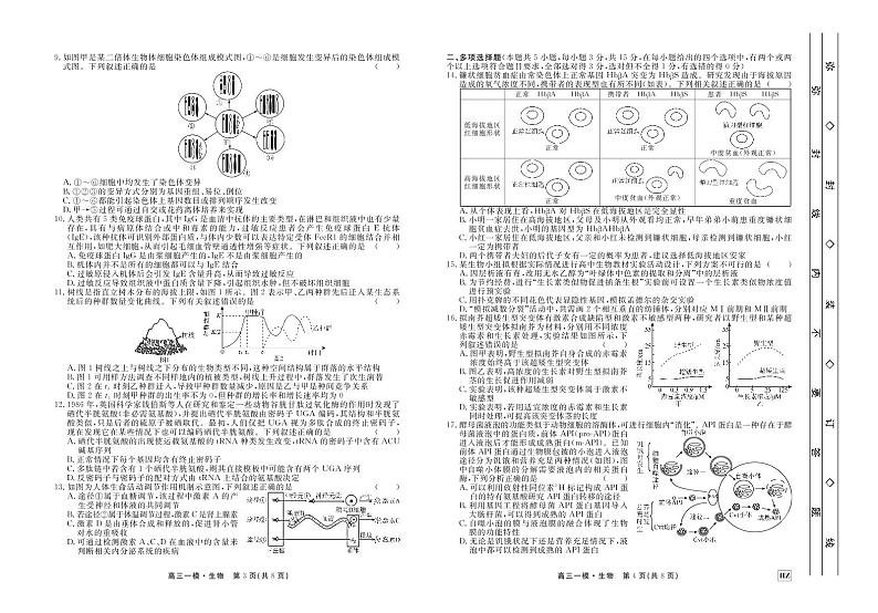 生物衡中高三下学期一模正文第2页
