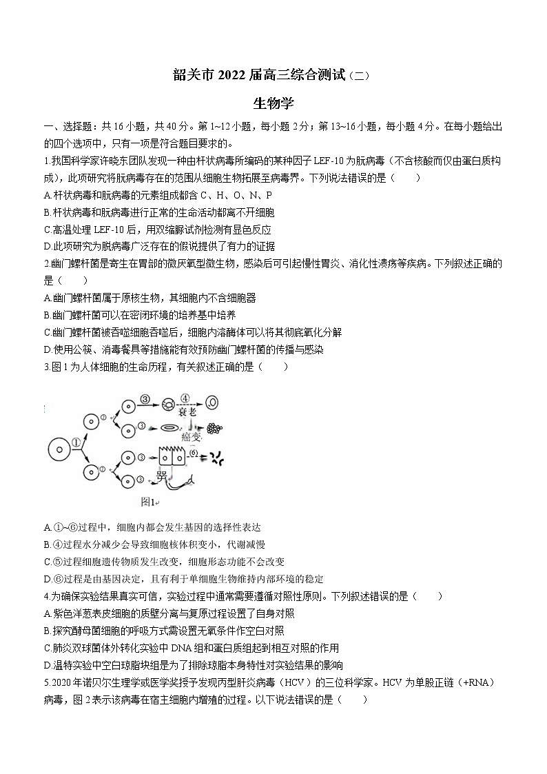 2022韶关高三综合测试(二)生物试题含答案第1页
