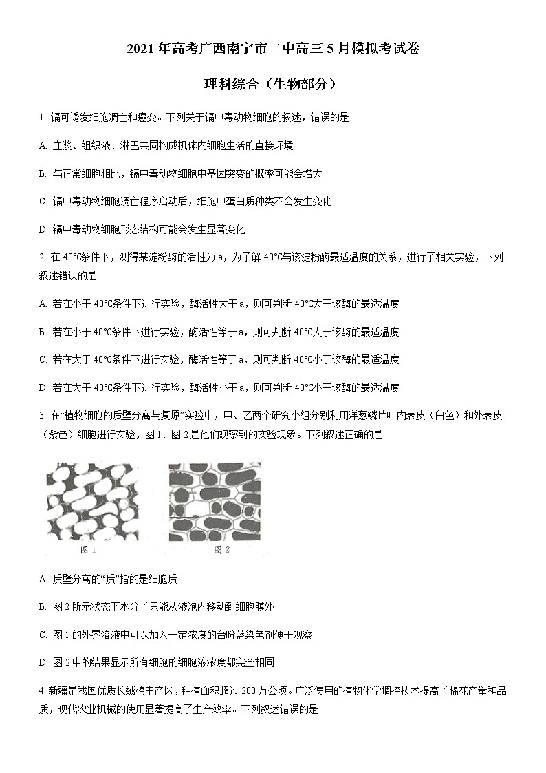 2021南宁二中高三下学期5月模拟考试理科综合生物试题含答案01