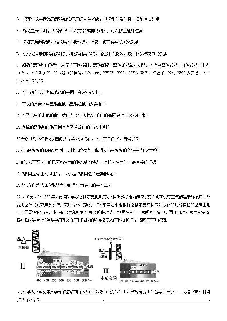 2021南宁二中高三下学期5月模拟考试理科综合生物试题含答案02