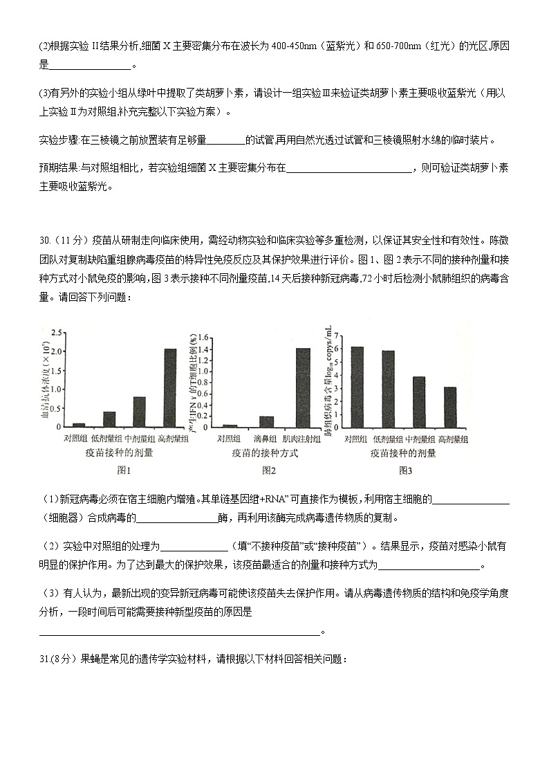 2021南宁二中高三下学期5月模拟考试理科综合生物试题含答案03