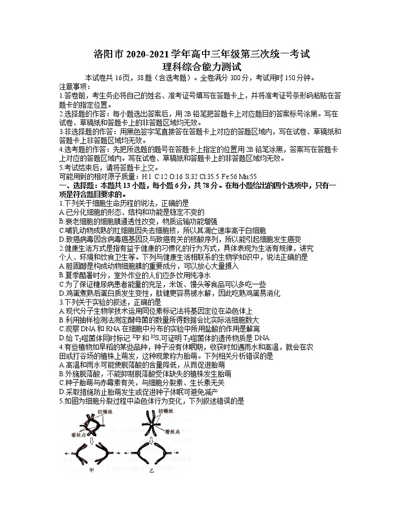 2021洛阳高三下学期5月第三次统一考试(三练)理综生物试题含答案01