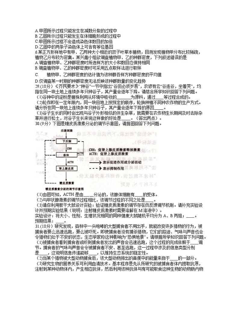 2021洛阳高三下学期5月第三次统一考试(三练)理综生物试题含答案02
