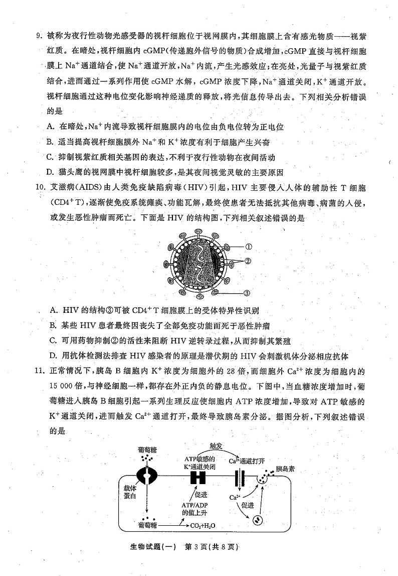 2021高三下学期5月普通高等学校招生统一考试(湖南省)模拟试题生物试题(一)扫描版含答案03