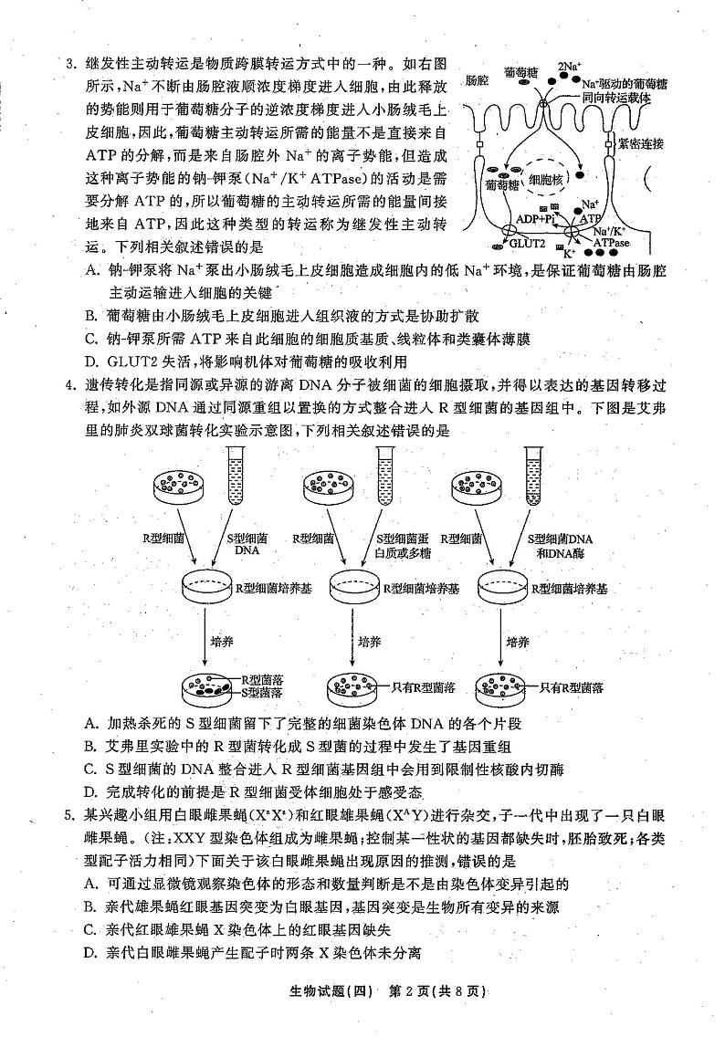 2021高三下学期5月普通高等学校招生统一考试(湖南省)模拟试题生物试题(四)扫描版含答案02