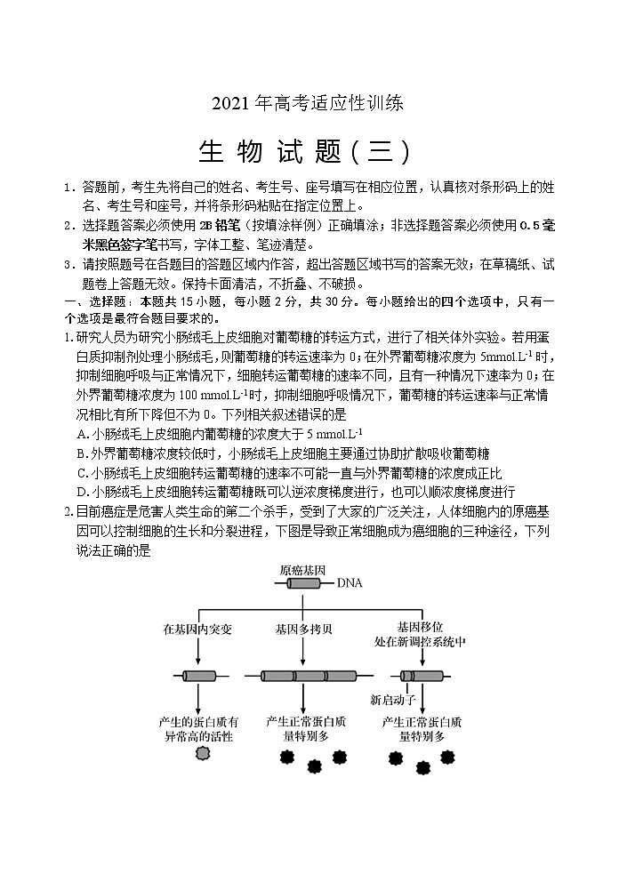 2021泰安肥城高三下学期高考适应性训练(三)生物试题含答案第1页