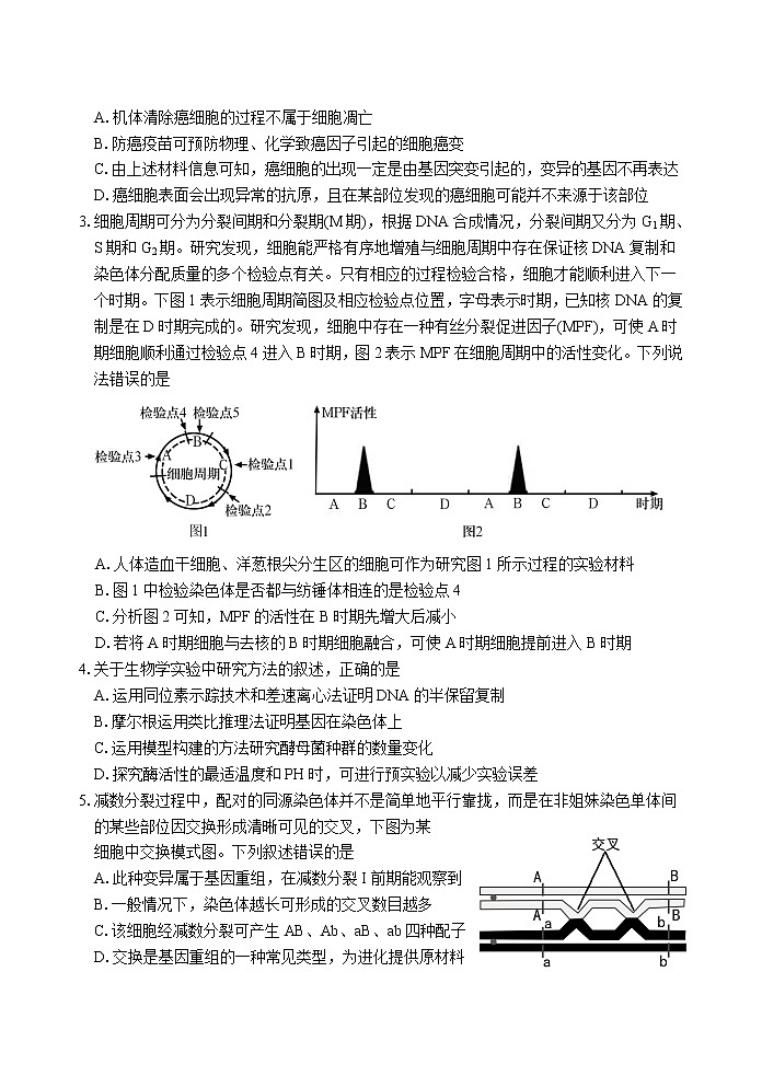 2021泰安肥城高三下学期高考适应性训练(三)生物试题含答案第2页
