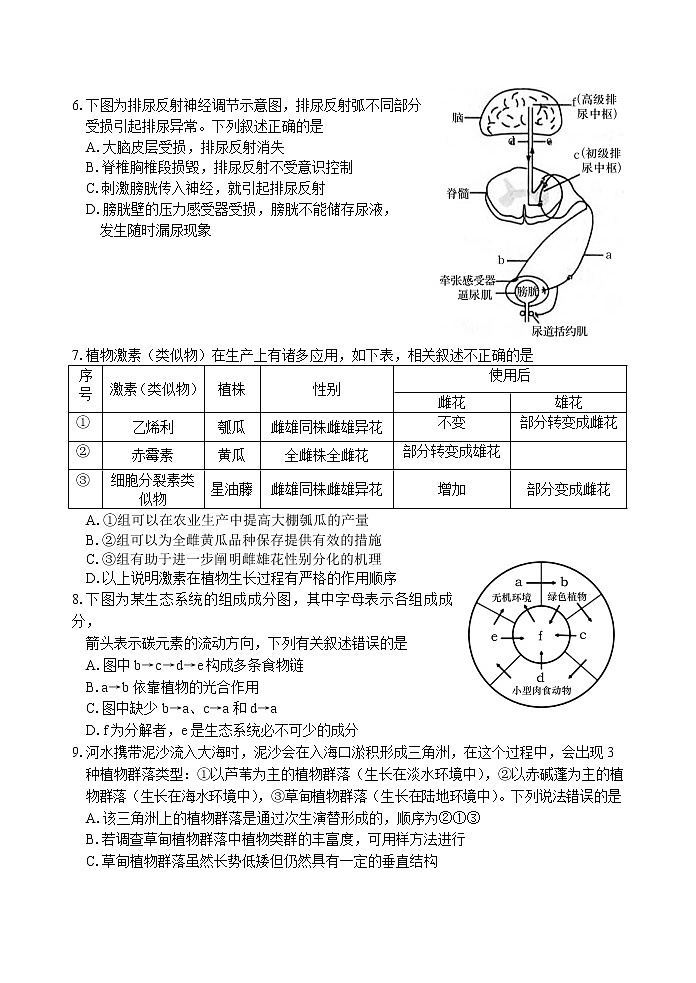 2021泰安肥城高三下学期高考适应性训练(三)生物试题含答案第3页