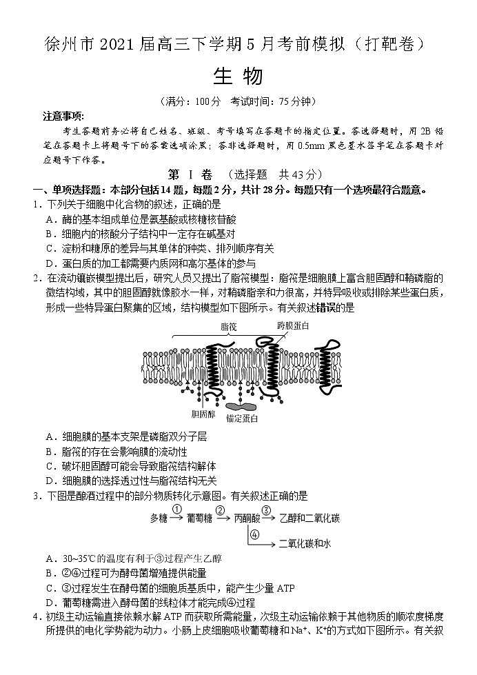 2021徐州高三下学期5月考前模拟(打靶卷)生物试题含答案第1页