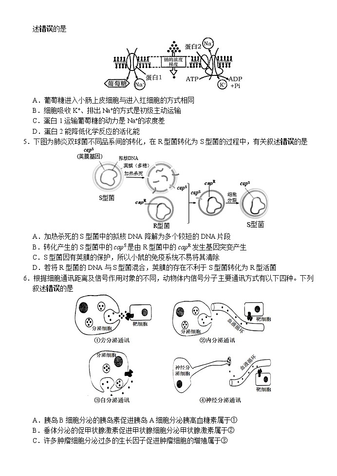 2021徐州高三下学期5月考前模拟(打靶卷)生物试题含答案第2页