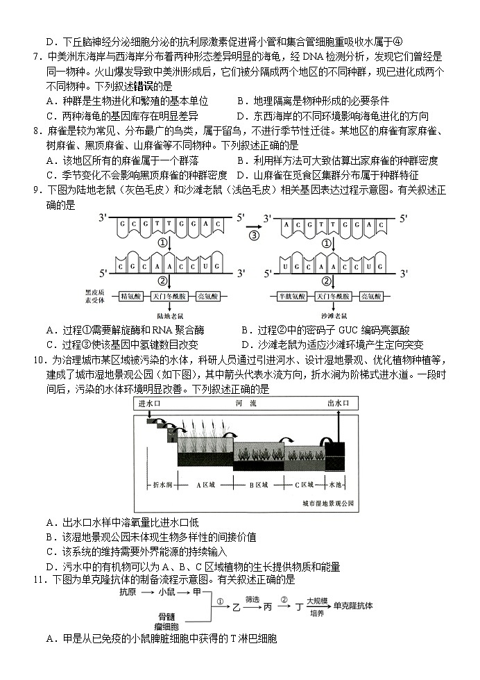 2021徐州高三下学期5月考前模拟(打靶卷)生物试题含答案第3页