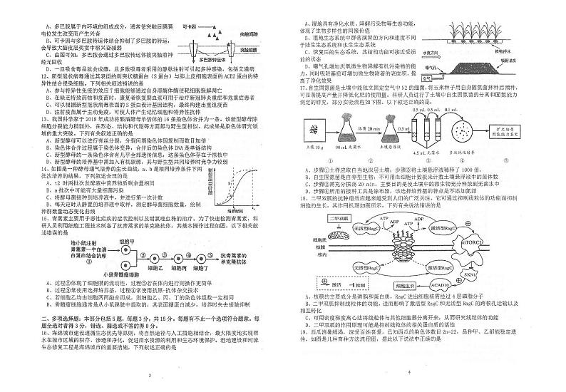 2021江苏省常熟中学高三下学期5月第三次模拟考试生物试题(扫描版)02