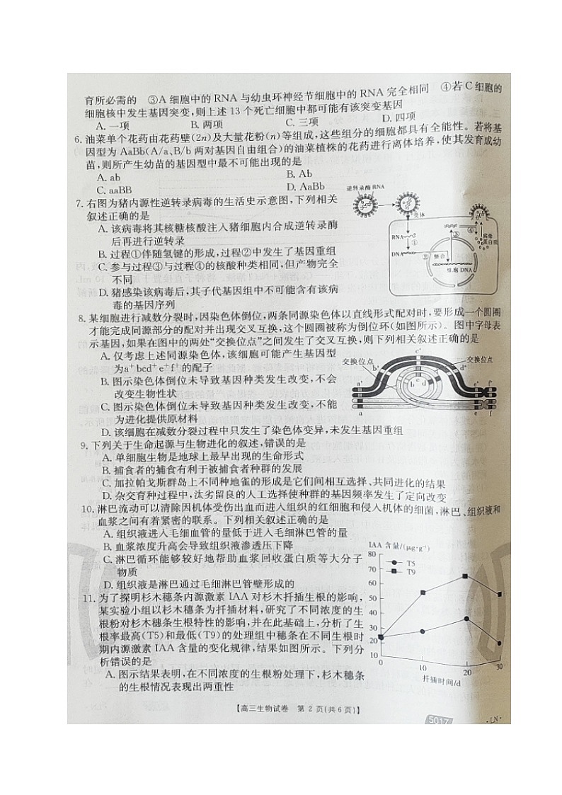 生物第2页