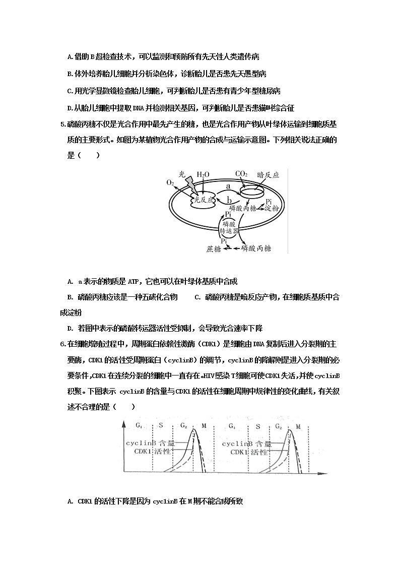 2021河北省武邑中学高三下学期5月第七次高考模拟考试生物试题含答案第2页