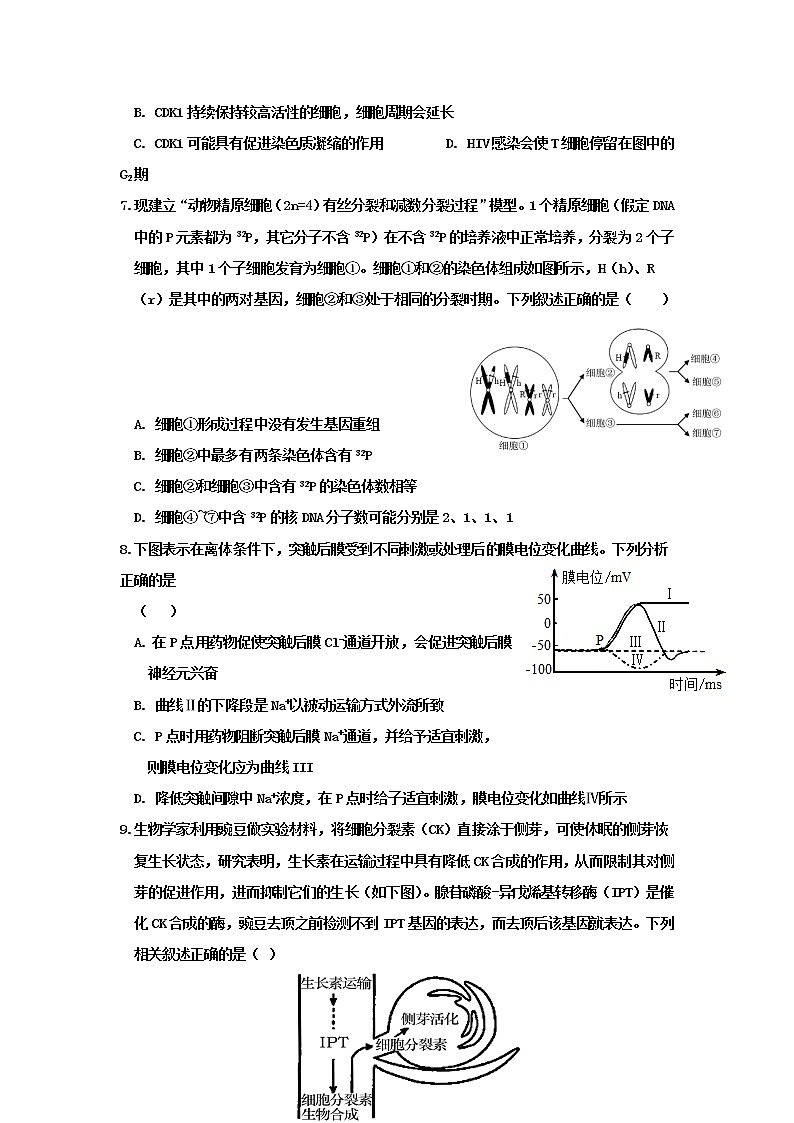 2021河北省武邑中学高三下学期5月第七次高考模拟考试生物试题含答案第3页