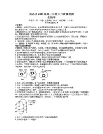 2021武汉武昌区高三下学期5月质量检测生物试题含答案