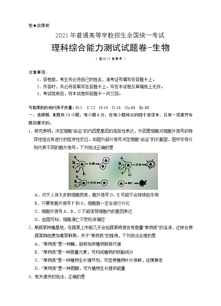 2021银川17校联考高三下学期5月普通高等学校招生全国统一考试理综-生物试题含答案第1页